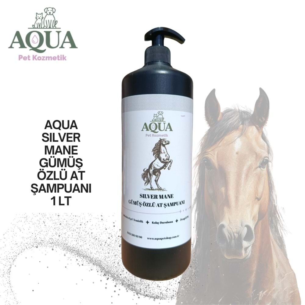 AQUA SILVER MANE