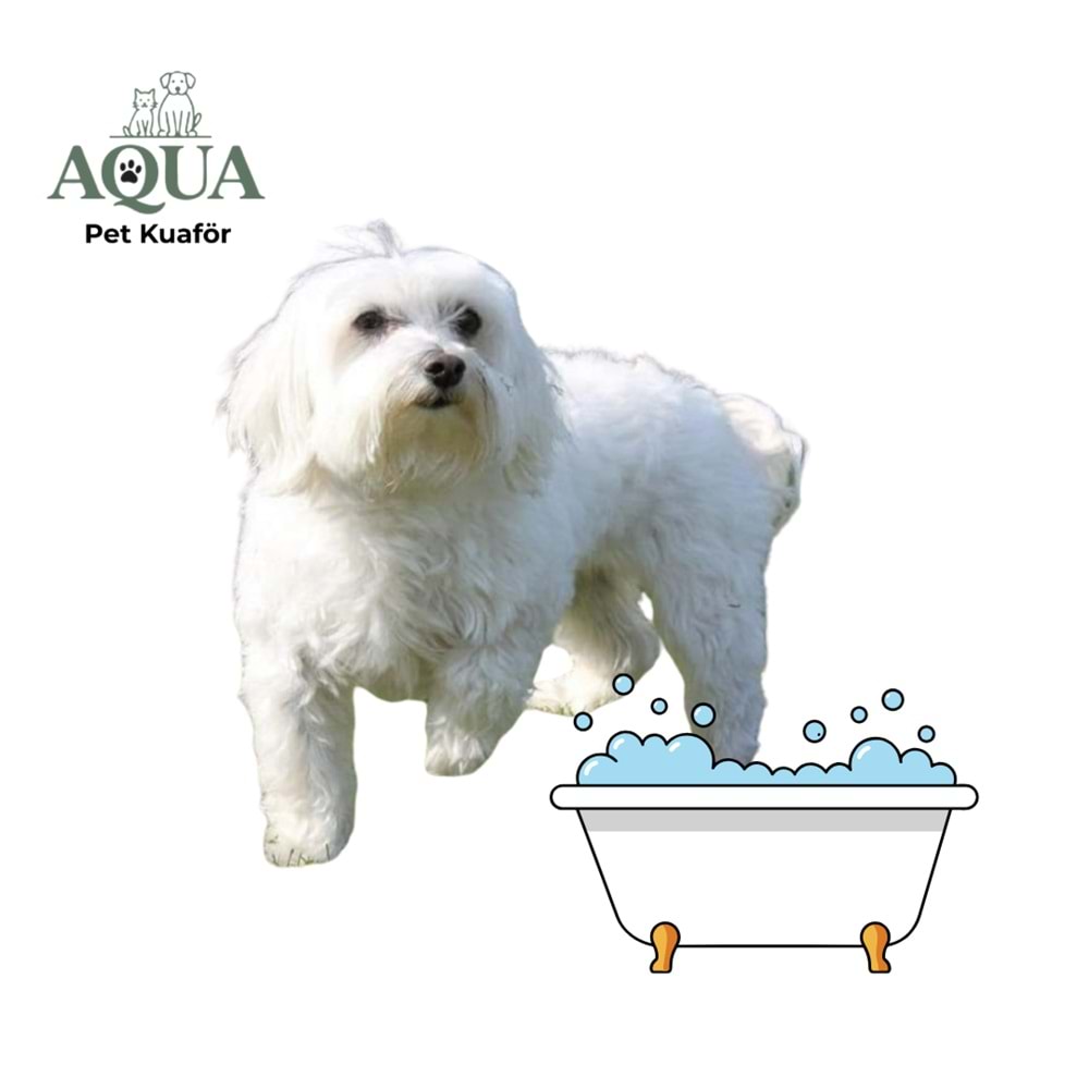 MALTESE Banyo Bakım