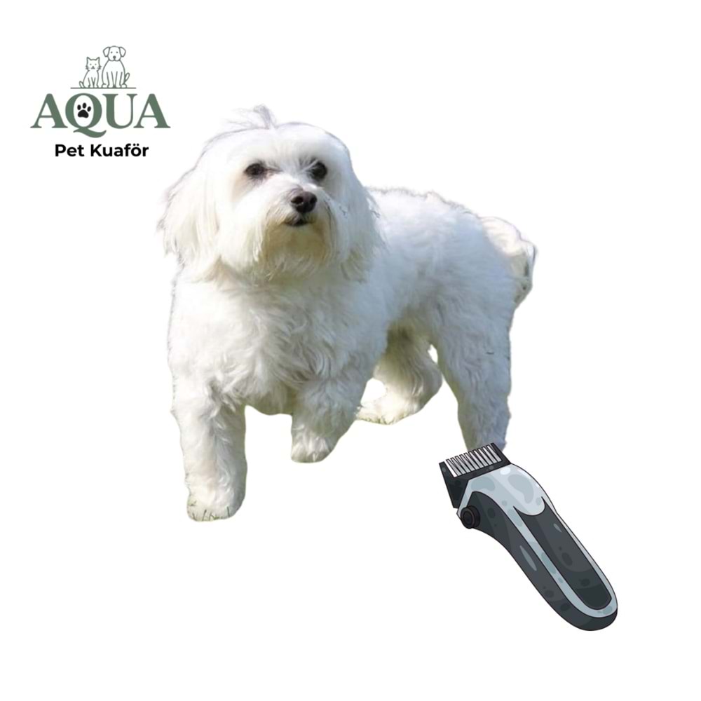 MALTESE Makine Tıraşı