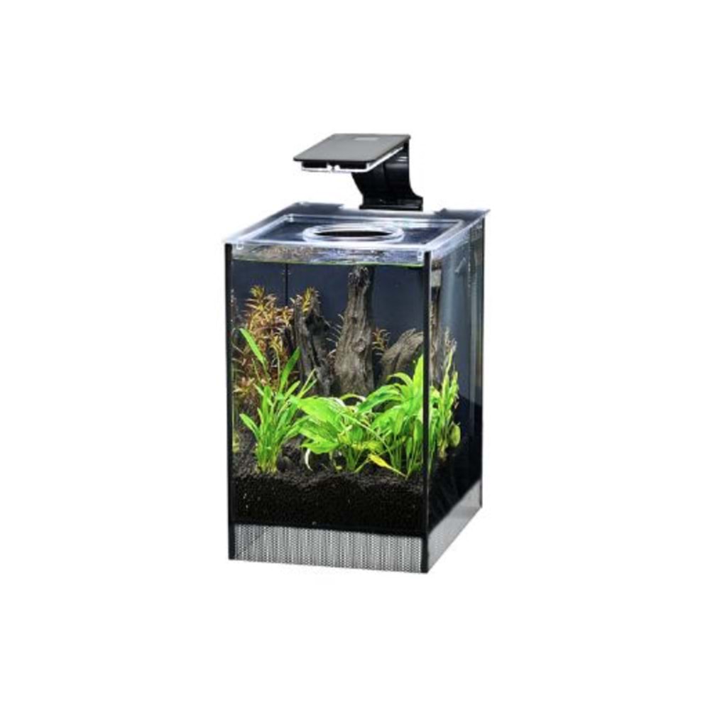 Anubias Danio 17 Nano Akvaryum Siyah 17 x 22 x 26,5 Cm
