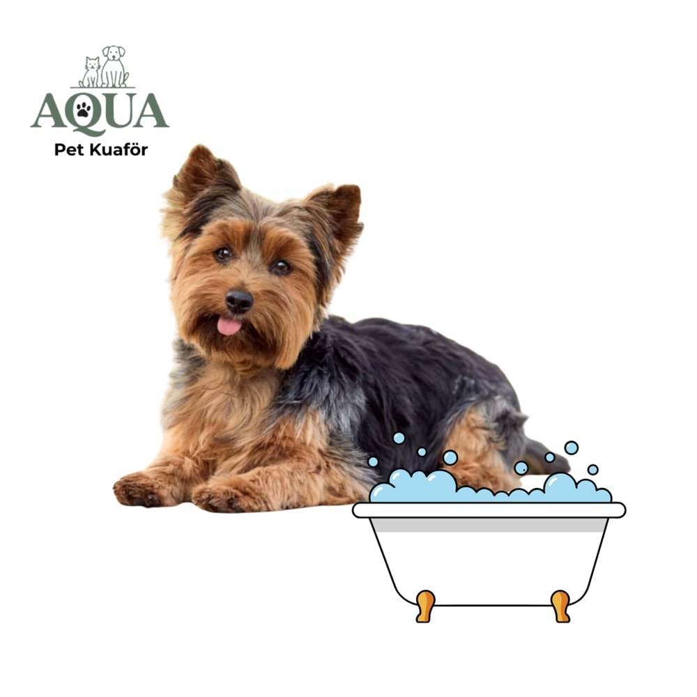 YORKSHİRE Banyo Bakım