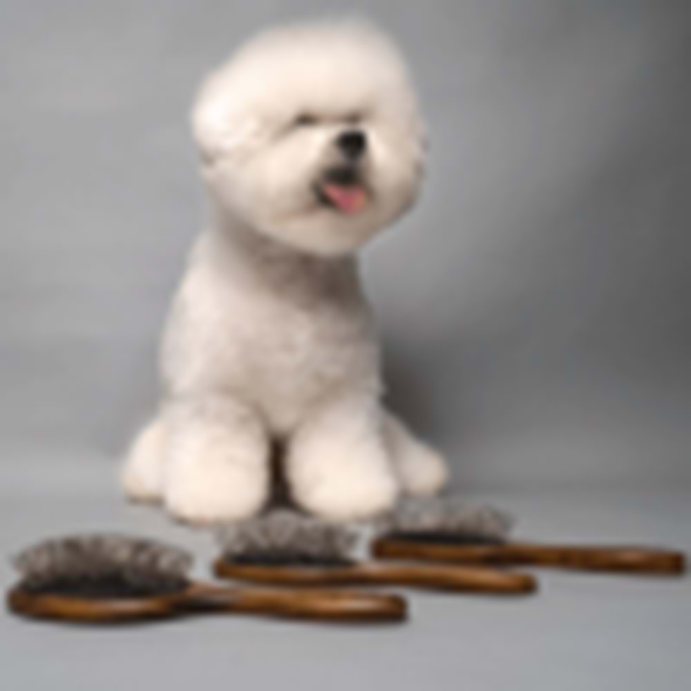 Ahşap Masaj Fırçası 22 mm