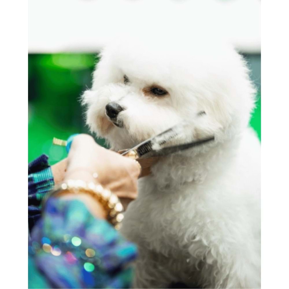 Janita Plunge İnceltici 18cm 23 Diş Gold