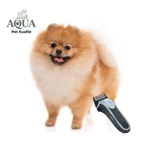 Pomeranian Makina Tıraşı