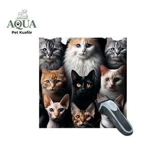 KEDİ Makine Tıraşı