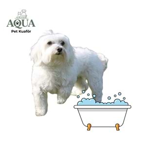 MALTESE Banyo Bakım