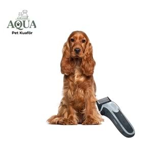 COCKER SPANİEL Makine Tıraşı