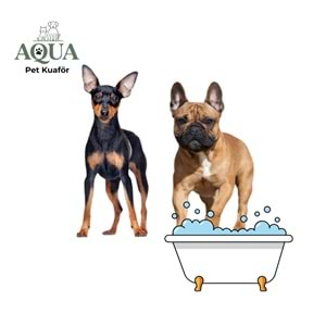 FRENCH BULDOG & PİNSCHER Banyo Bakım
