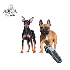 FRENCH BULDOG & PİNSCHER Makine Tıraşı