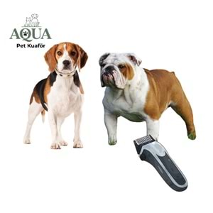BEAGLE & İNGİLİZ BULDOG Makine Tıraşı