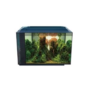 Anubias Corydoras 55 Nano Akvaryum Siyah 55,5 x 29,5 x 32 Cm