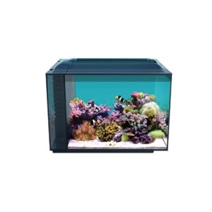 Anubias Evo-V8 55 Nano Marine Akvaryum Siyah 55,5 x 29,5 x 35 Cm
