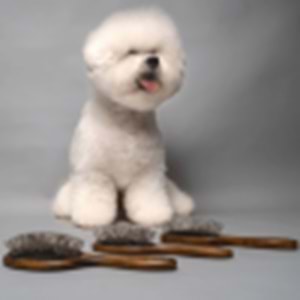 Ahşap Masaj Fırçası 22 mm