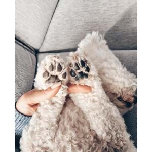 Pure Nature Burun & Pati Besleyici ve Onarıcı Balm