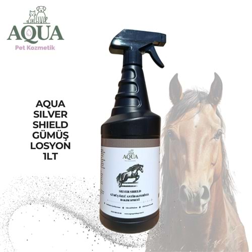 AQUA SILVER SHIELD