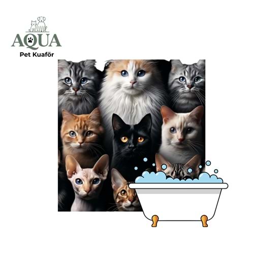 KEDİ Banyo Bakım
