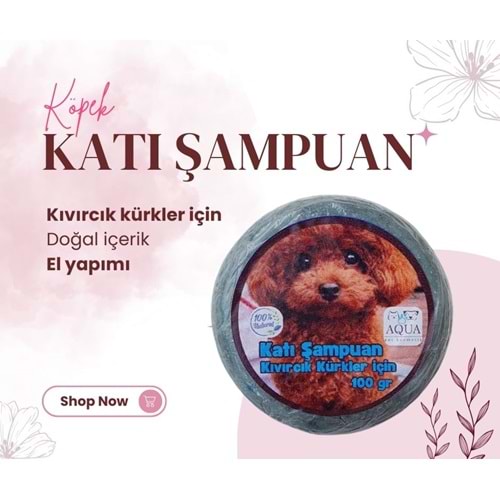 KATI ŞAMPUAN