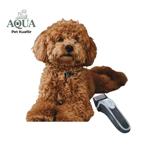poodle Makine tıraşı