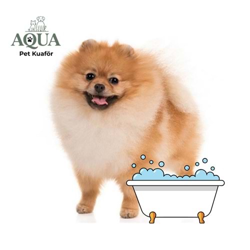 Pomeranian Banyo Bakım