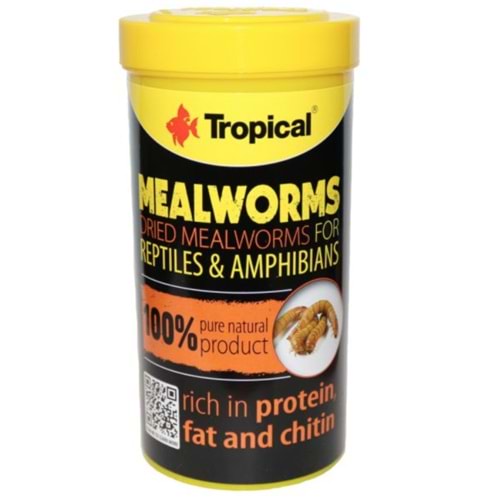 TROPICAL MEALWORMS