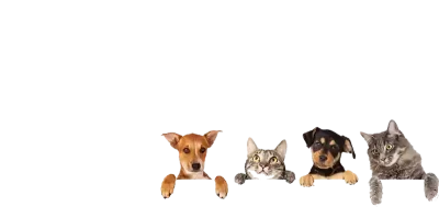 petshope
