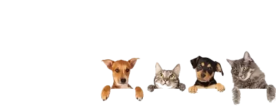 petshope