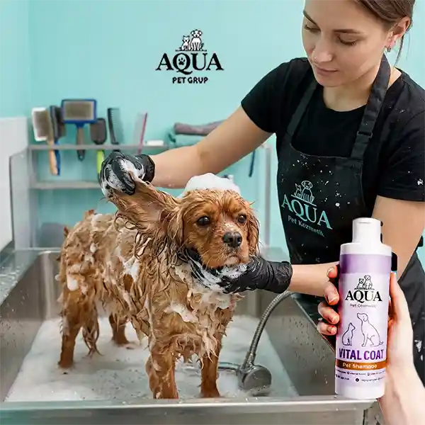 Pet grooming