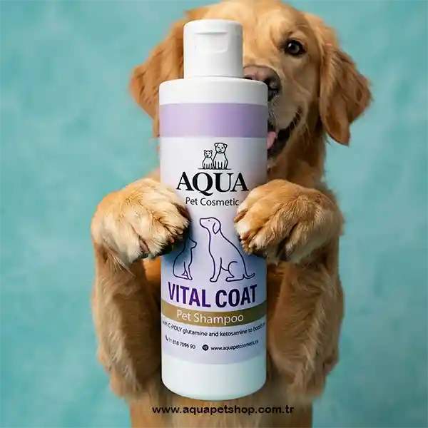 Köpek Şampuanı