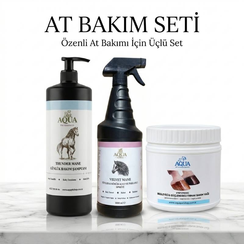 at-bakim-seti